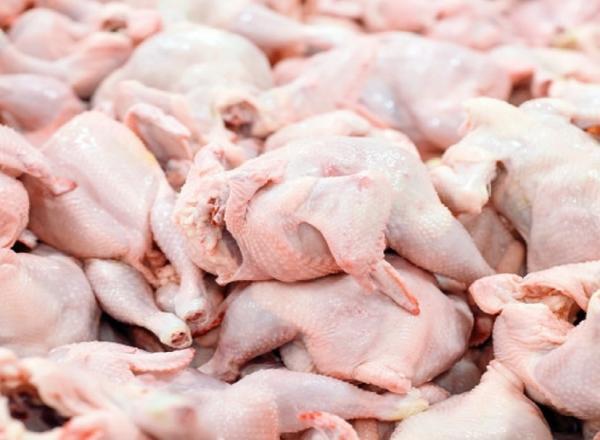 3.5 تن گوشت مرغ قاچاق در یزد کشف شد خبرنگاران