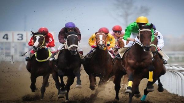 مسابقه اسب دوانی شرق کشور در جوین خراسان رضوی برگزار گردید