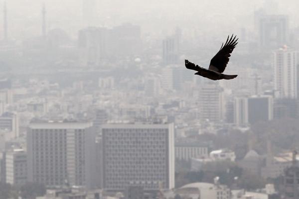 تشکیل کمیته اضطرار آلودگی هوا در چهلمین روز آلوده پاییز 96