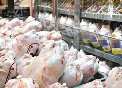 روزانه 400 تن مرغِ مازاد از مرغداران خریداری می گردد
