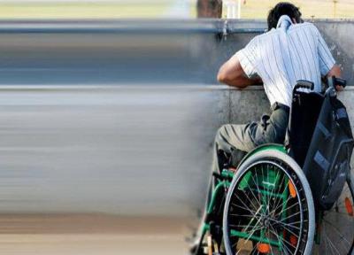 ارزیابی مناسب سازی دستگاه های دولتی برای معلولان